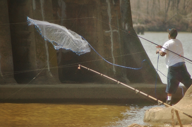 fisherman casting net